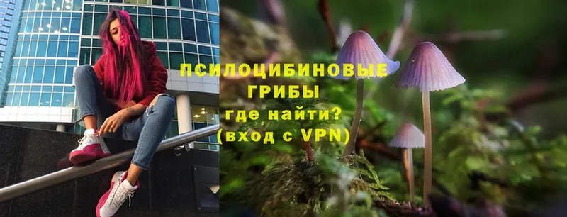 Псилоцибиновые грибы Magic Shrooms Белореченск